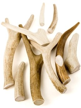 antler pieces