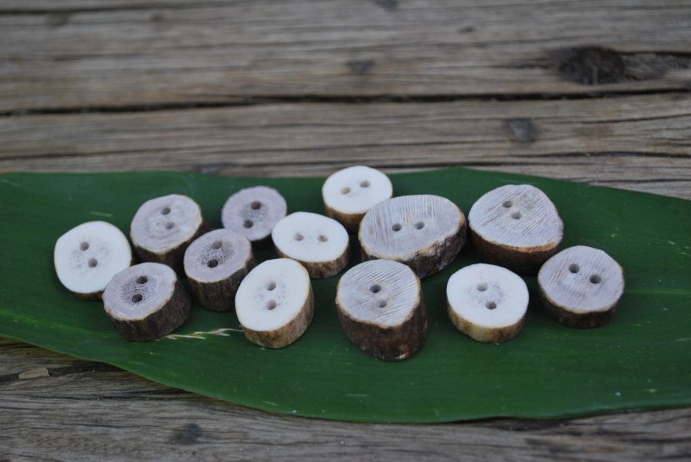 Antler Buttons