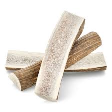 Deer Antler - Split - Large Piece