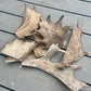 Fallow Blade antler- Medium