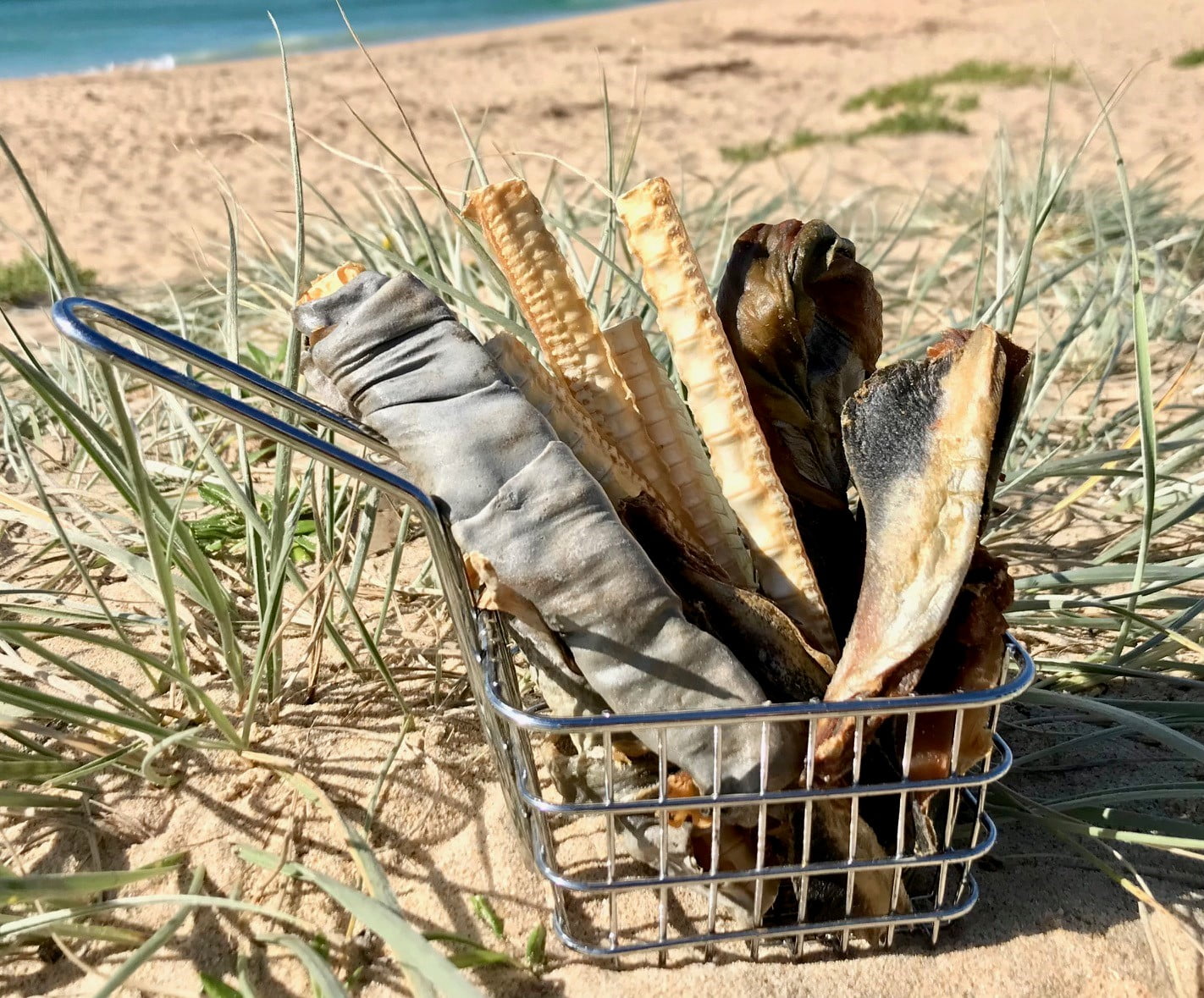 Shark Mackerel Snack Pack