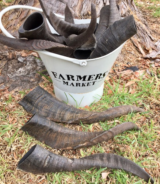 goat horn