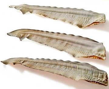 Aussie Shark Tails