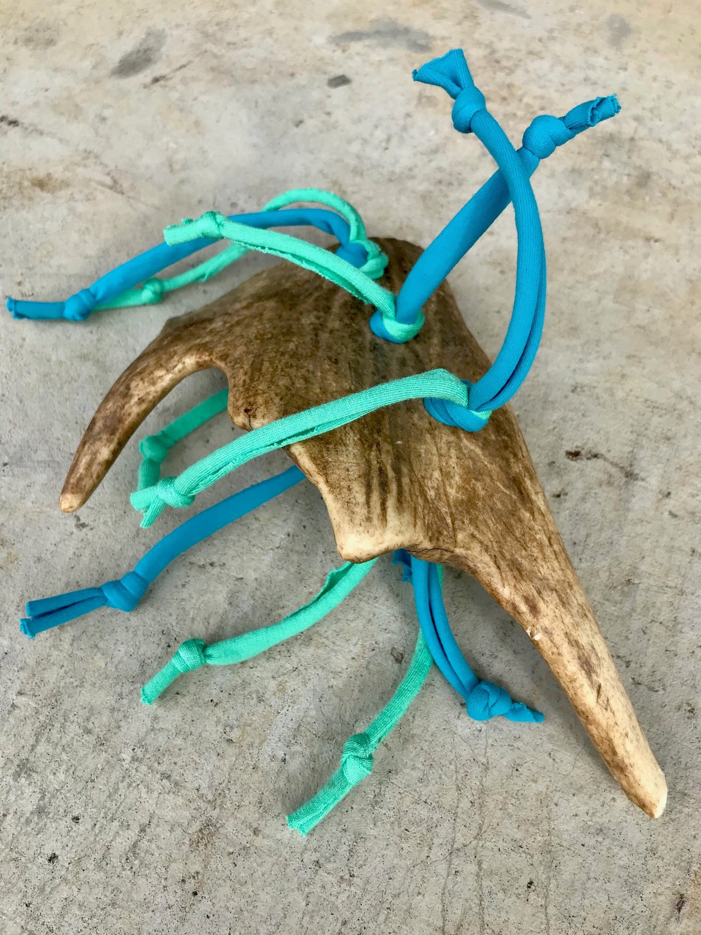 Fun Fallow Antler large