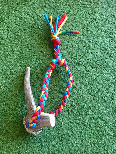 large antler bungee