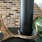 Fallow Deer Antler (ornamental)